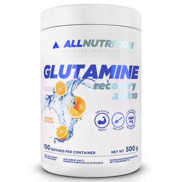 All nutrition Glutamine Recovery Amino 500 грам 101004 фото