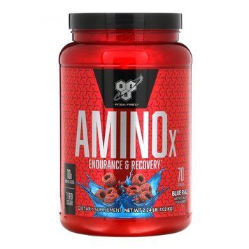 Амінокислотний комплекс BSN AminoX, Синя малина 1.01кг 100034 фото